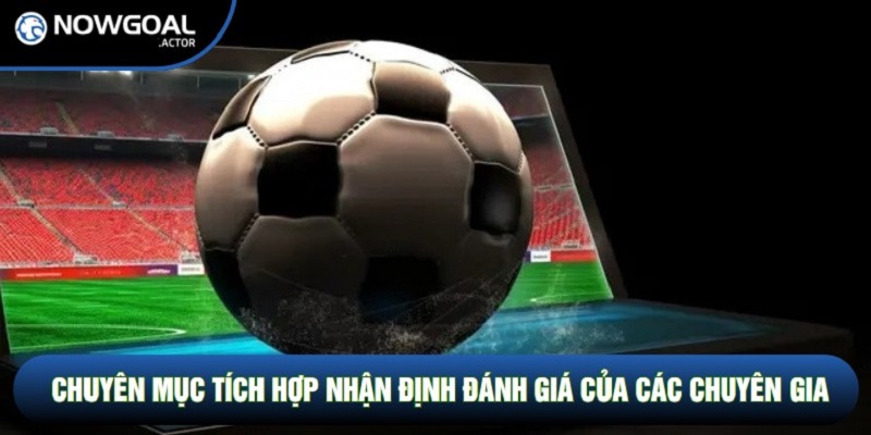 Chuyên mục tích hợp nhận định đánh giá của các chuyên gia