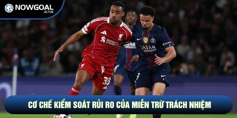Cơ chế kiểm soát rủi ro của miễn trừ trách nhiệm