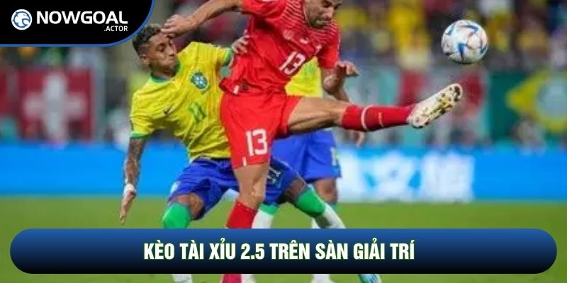 Kèo tài xỉu 2.5 trên sàn giải trí