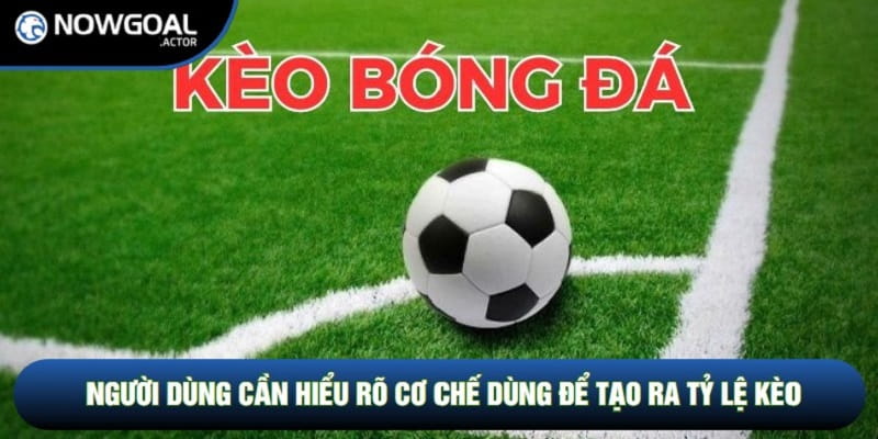 Người dùng cần hiểu rõ cơ chế dùng để tạo ra tỷ lệ kèo